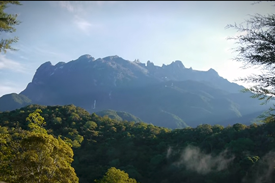 video-kinabalu